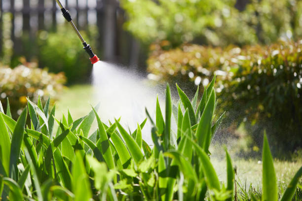 24/7 Emergency Termite Control experts in Jackson, GA