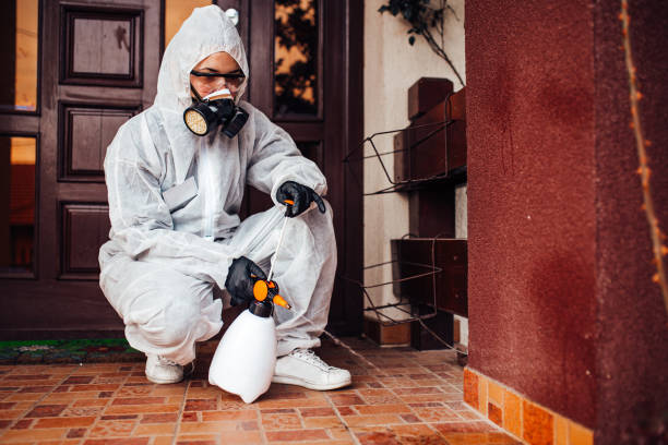 Reliable Termite Control contractor in Jackson, GA by Nex Pest Control