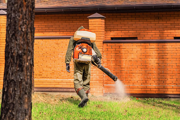 Top rated local Termite Control specialists in Jackson, GA